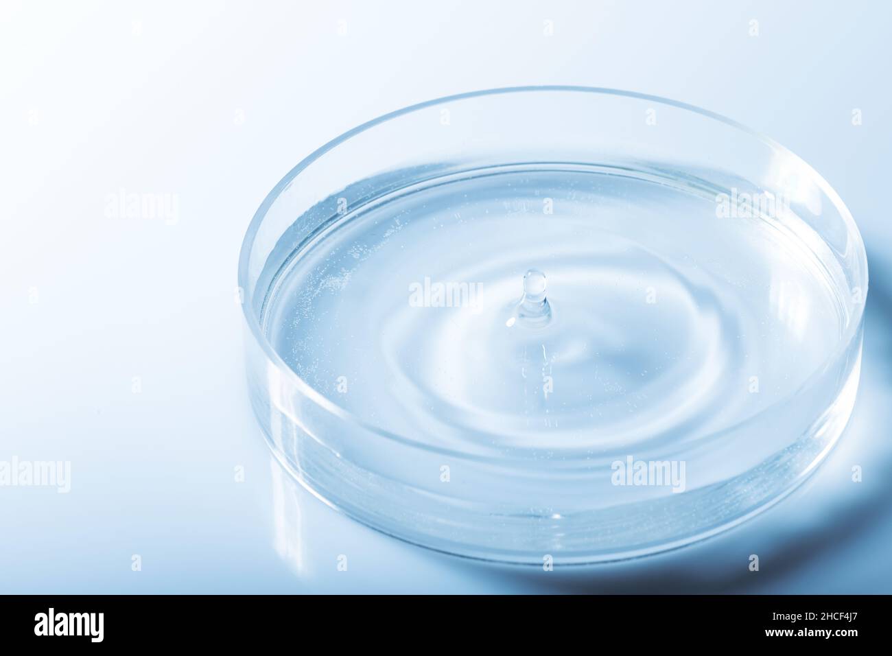 Concetto di medicina. Capsula di Petri con liquido trasparente e goccia con spazio di copia. Apparecchiature per analisi, esperimenti chimici. Filtro mappa gradiente blu. Scal Foto Stock