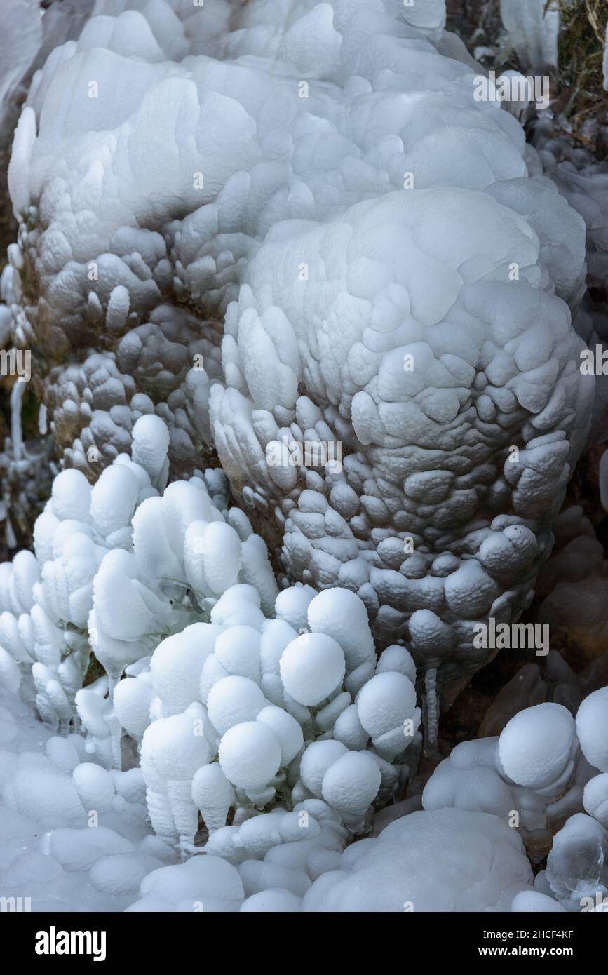 Una pietra alla cascata coperta di bizzarre fiori di ghiaccio Foto Stock