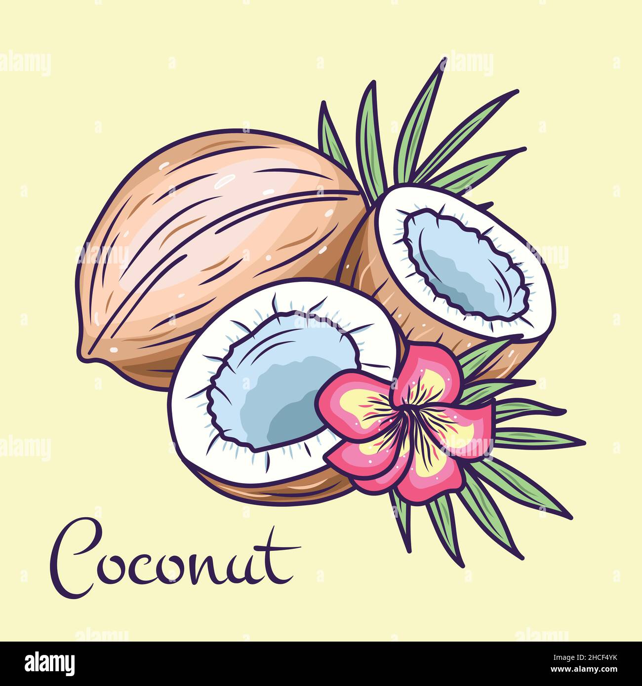 Cocco. Emblema di prodotto isolato di noci di cocco intere e fessurate per etichetta di prodotto di frutta, adesivo di imballaggio, etichetta di negozio di alimentari, negozio di fattoria Illustrazione Vettoriale