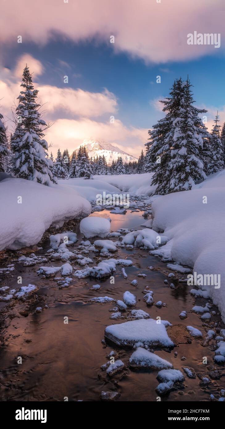 Sognare un inverno canadese; racchette da neve nelle Montagne Rocciose canadesi Foto Stock