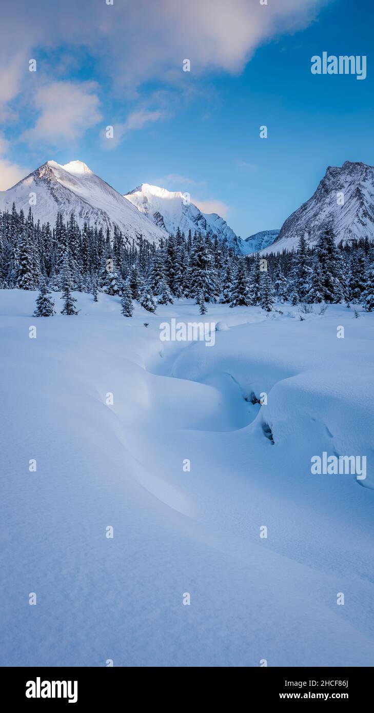 Canadian Winter Wonderland, Canadian Rockies Foto Stock