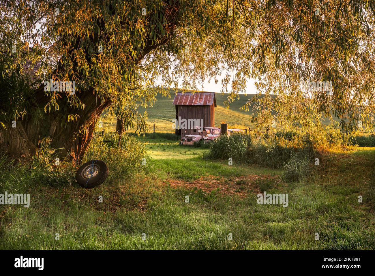 Scena rurale fattoria vista da Palouse nello stato di Washington in una mattinata di sole Foto Stock