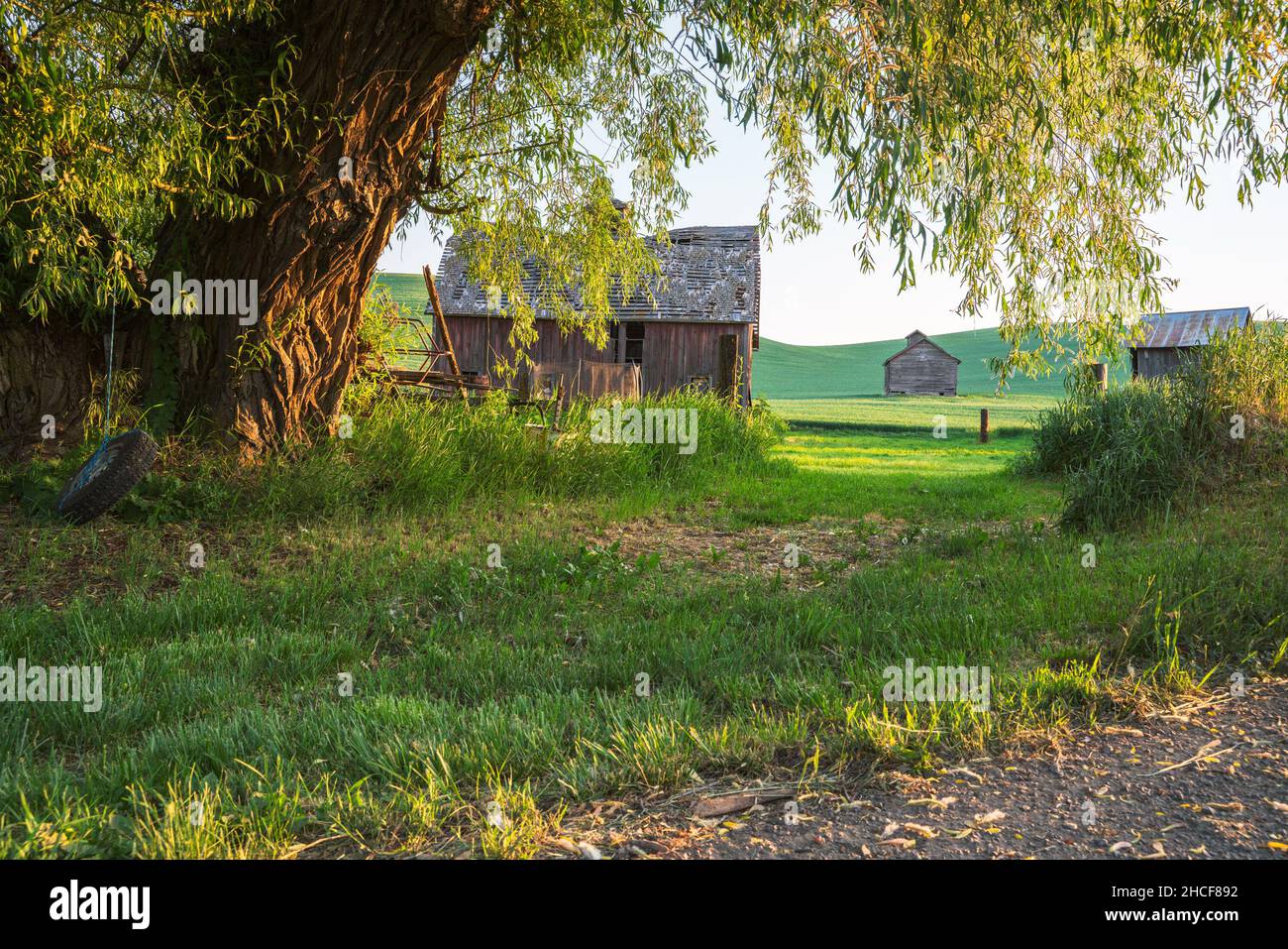 Scena rurale fattoria vista da Palouse nello stato di Washington in una mattinata di sole Foto Stock
