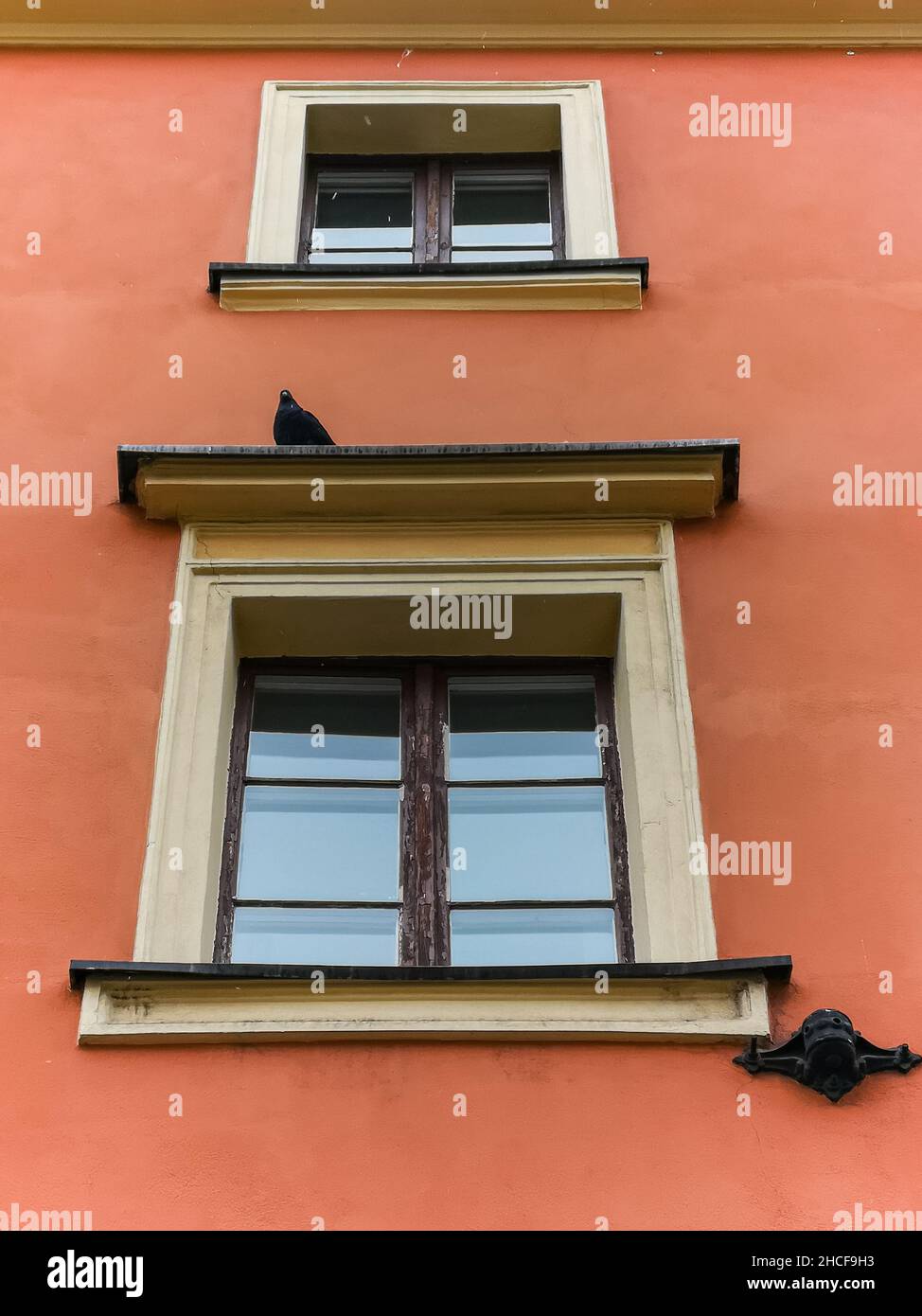 Telaio finestra in legno di vecchio edificio con piccione nero seduta sul davanzale superiore Foto Stock