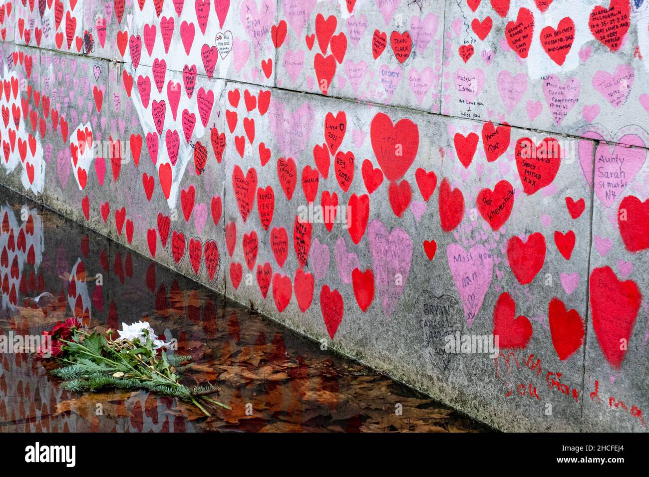 Il National Covid Memorial Wall di Londra con fiori in primo piano. Sia i cuori che i fiori si sono deteriorati con il passare del tempo. Foto Stock