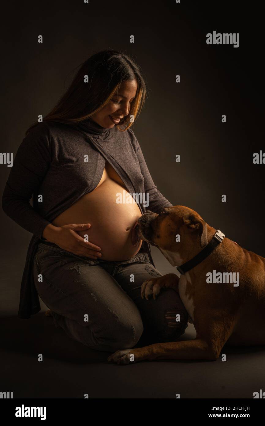 Colpo verticale di un cane che lecca il ventre di una donna ispanica allegra nella sua gravidanza tardiva Foto Stock
