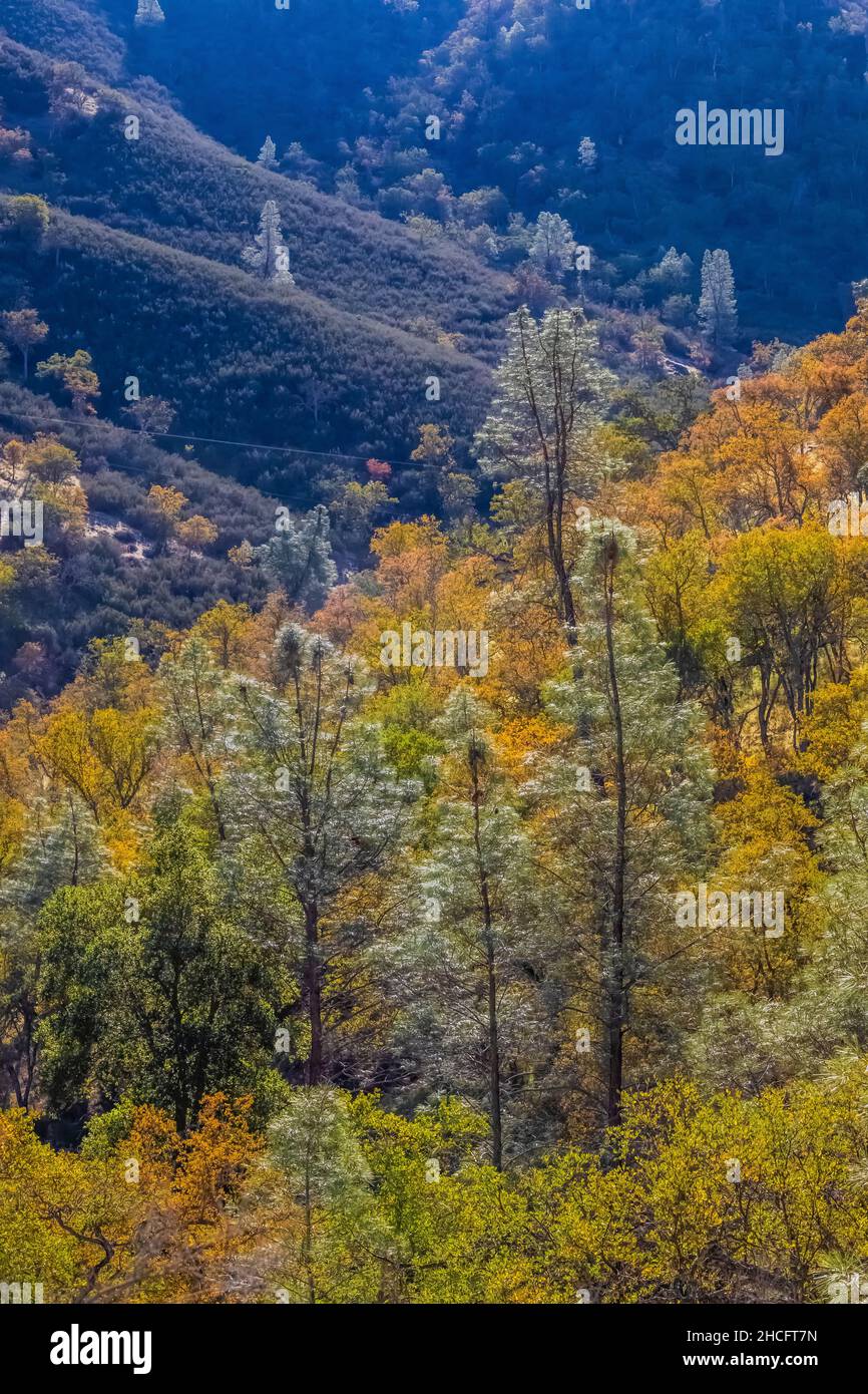 Chaparral nel tardo autunno visto da Condor Gulch Trail nel Pinnacles National Park, California, Stati Uniti Foto Stock