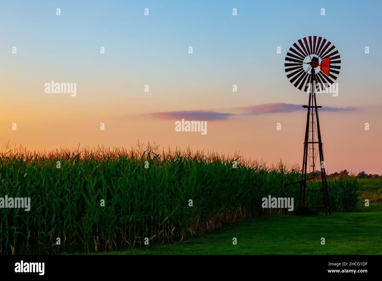 Il sole tramonta dietro un mulino a vento su un campo di mais della contea di DeKalb vicino a Spencerville, Indiana, USA. Foto Stock