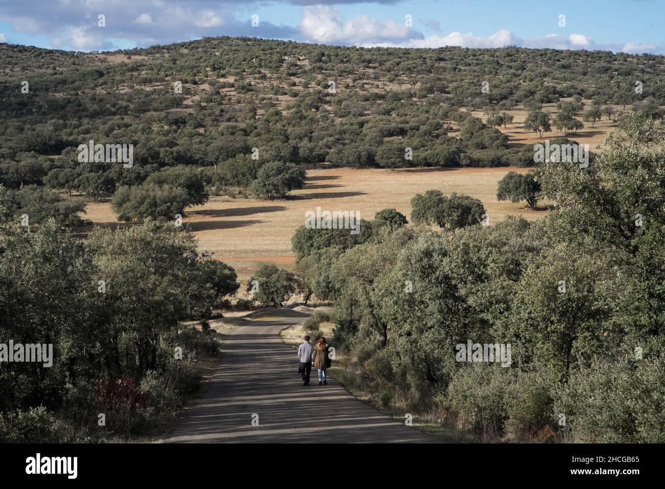 Una coppia che cammina lungo una strada asfaltata attraverso le basse colline coperte di alberi della regione di la Mancha in Spagna Foto Stock