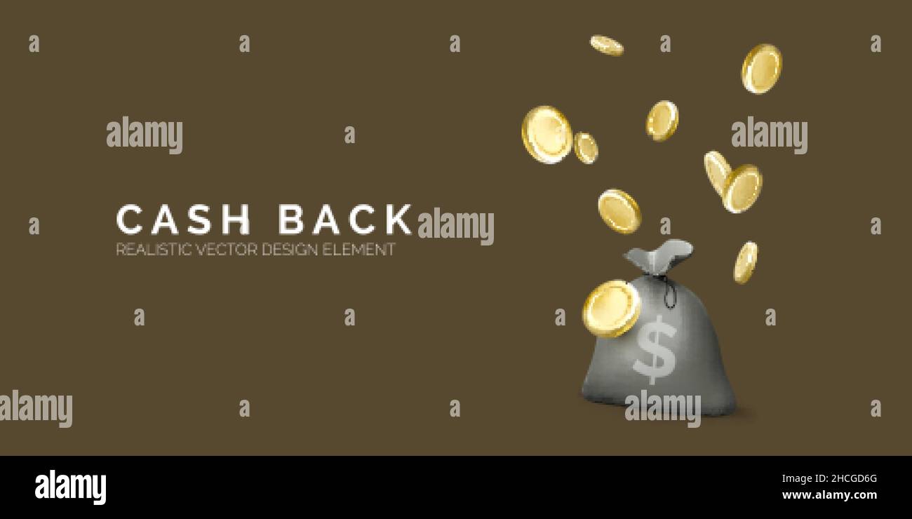 Borsa con segno del dollaro e monete d'oro in caduta. Servizi finanziari o concetto di rimborso. Ritorno sugli investimenti. Prestito rapido in contanti. Credito facile o veloce Illustrazione Vettoriale