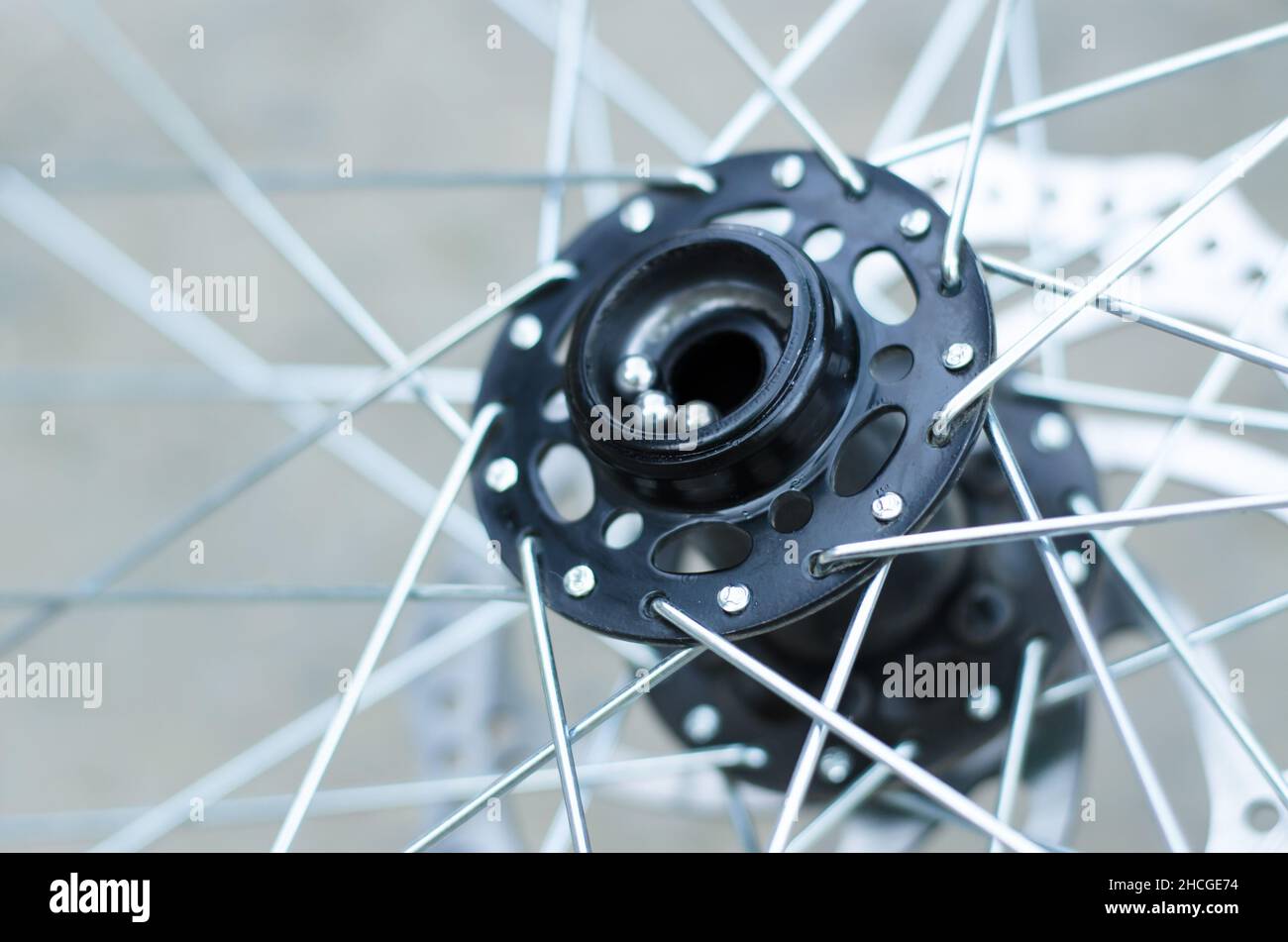 Riparazione della ruota della bicicletta. Sostituzione dei cuscinetti sul  mozzo anteriore Foto stock - Alamy
