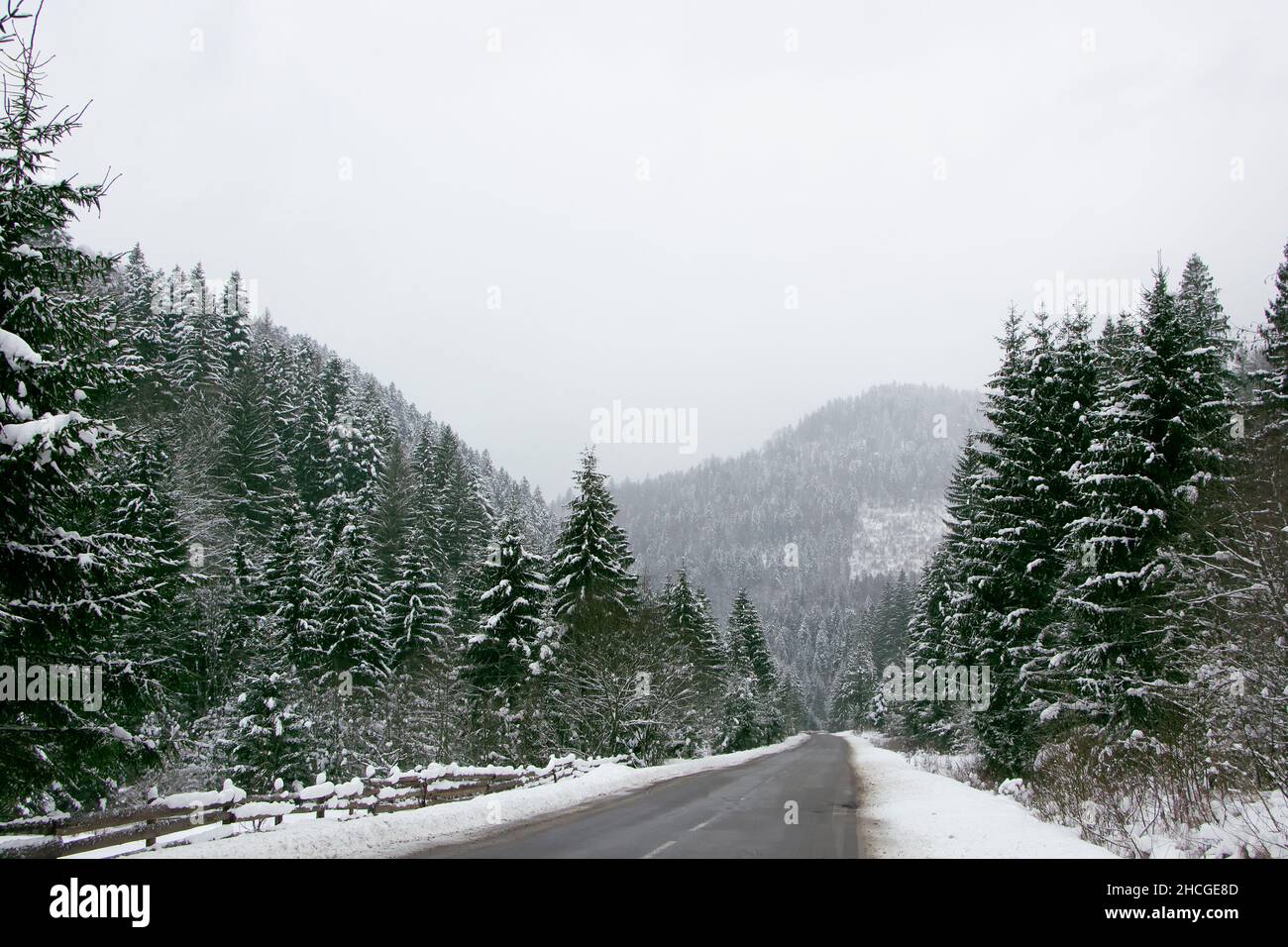 Strada asfaltata tra la foresta innevata. Strada nella foresta alpina. Foto Stock