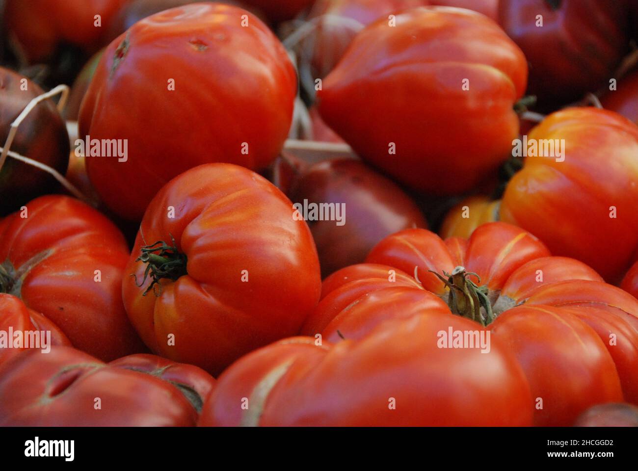 Primo piano di pomodori maturi in un mercato Foto Stock