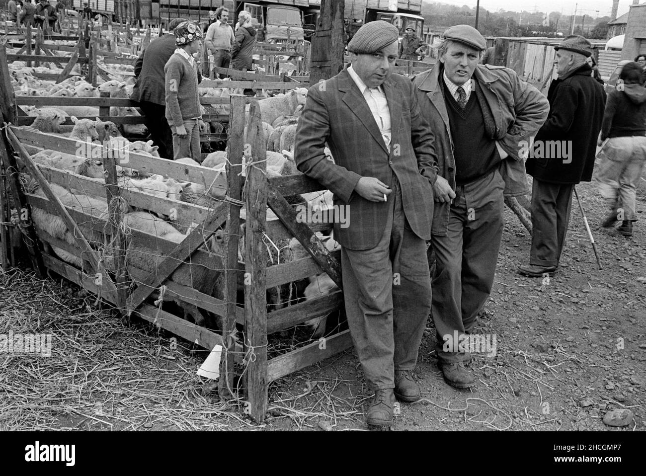 Allevatori di pecore in vendita, Nelson, Galles del Sud, 1977 Foto Stock