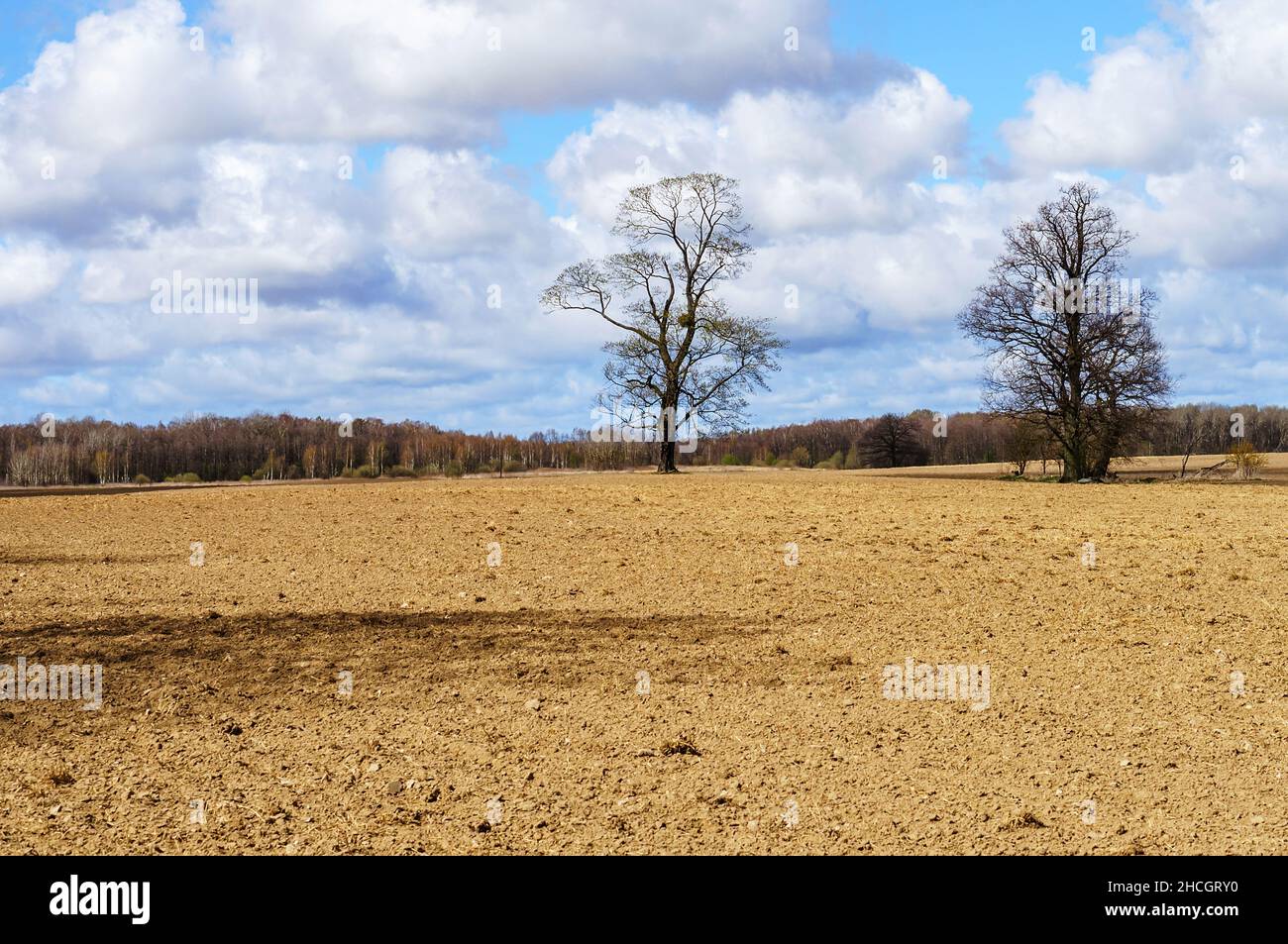 Coltivazione di campi agricoli. Campo arato. Preparazione per la stagione di semina. Foto Stock