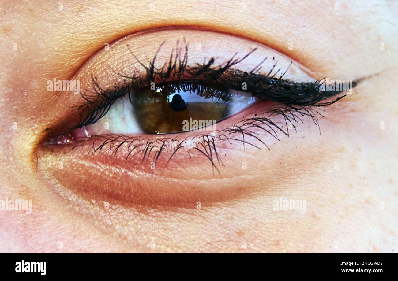 colore marrone dell'occhio umano di una ragazza Foto Stock