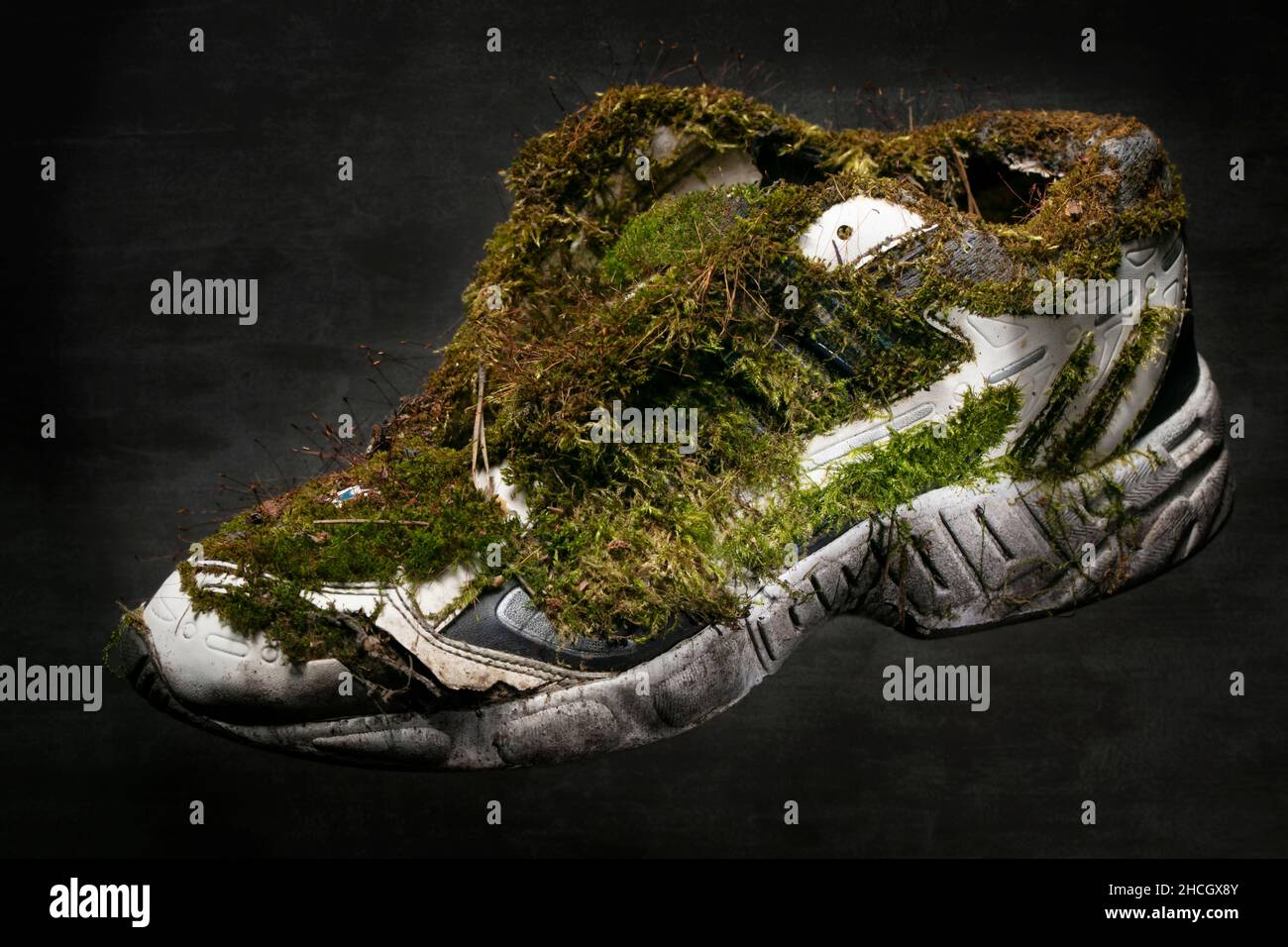 Vecchia sneaker coperta di muschio. Scarpe realizzate con materiali naturali. Foto Stock