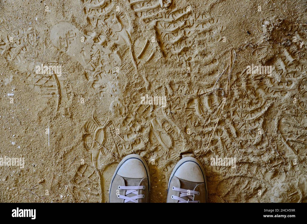 Scarpe sportive su pavimento in argilla polveroso con impronte Foto Stock
