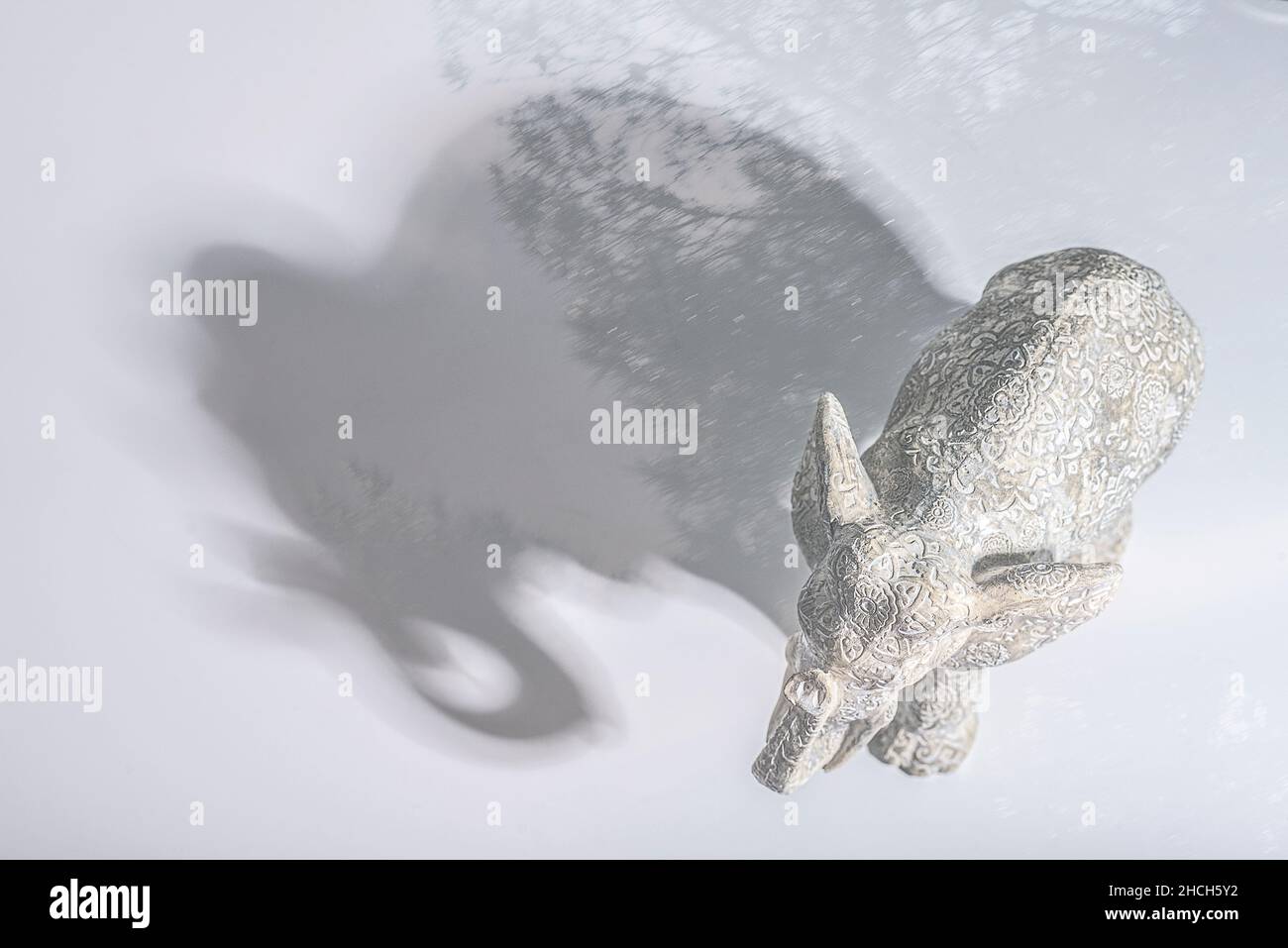 Elefante su sfondo bianco orizzontale Foto Stock