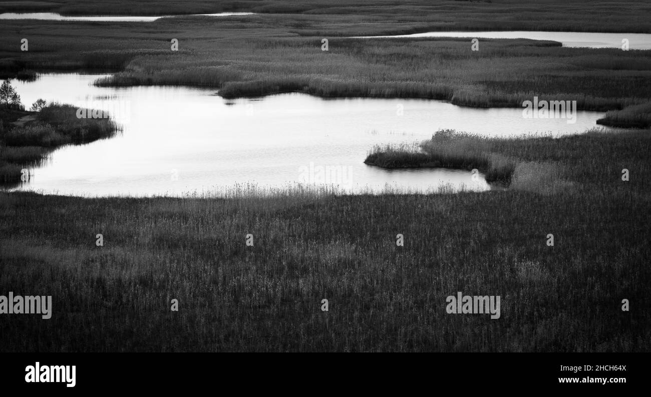 paesaggio con palude steppen, bianco-nero Foto Stock