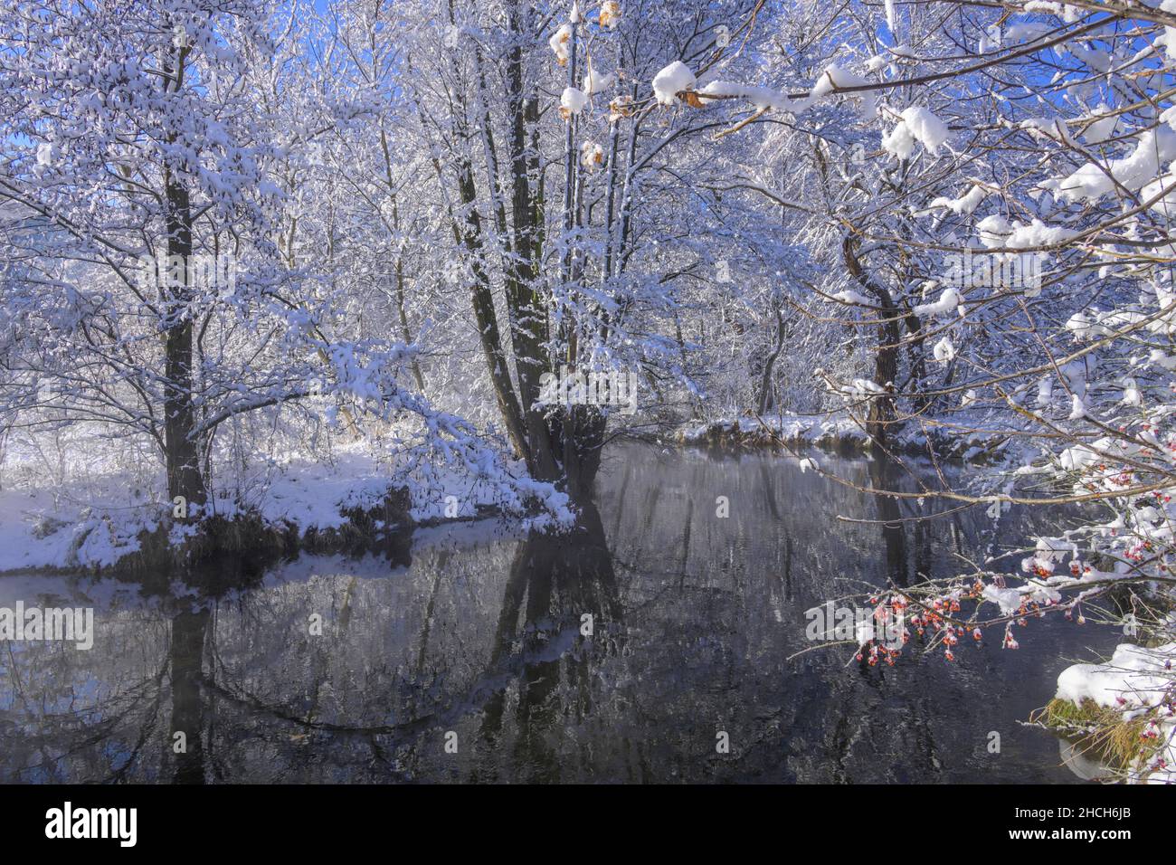 Splendida atmosfera invernale sul fiume Piesting, Piesting, bassa Austria, Austria Foto Stock