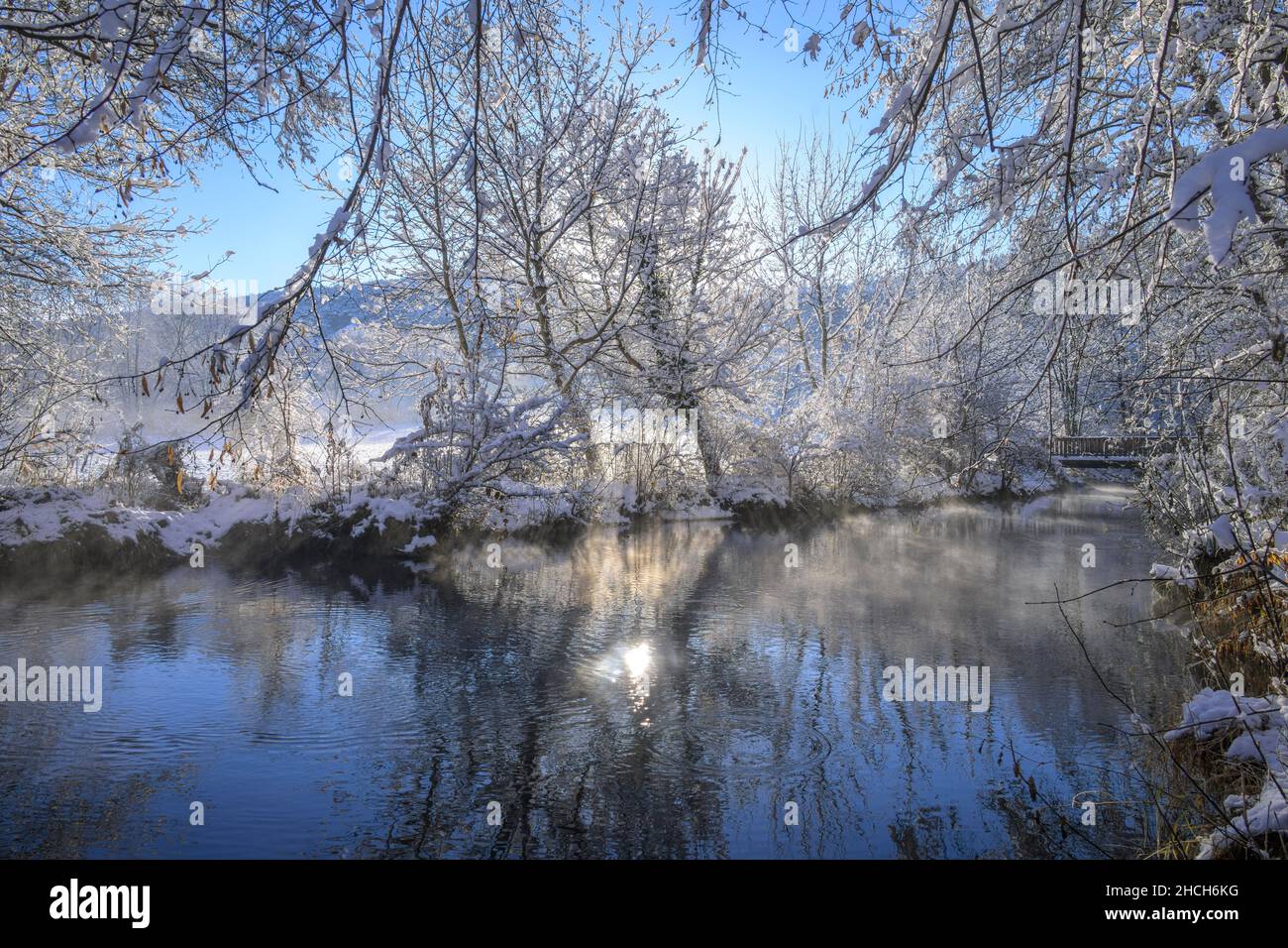 Splendida atmosfera invernale sul fiume Piesting, Piesting, bassa Austria, Austria Foto Stock