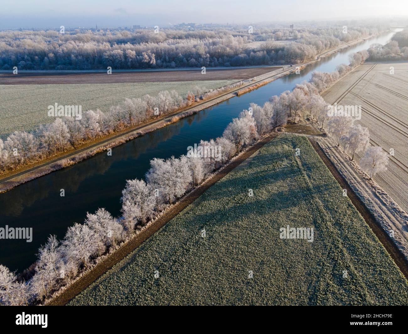 Fuchi, hoarfrost, alberi sul canale Mittelland, Berkum, distretto di Peine, bassa Sassonia, Germania Foto Stock