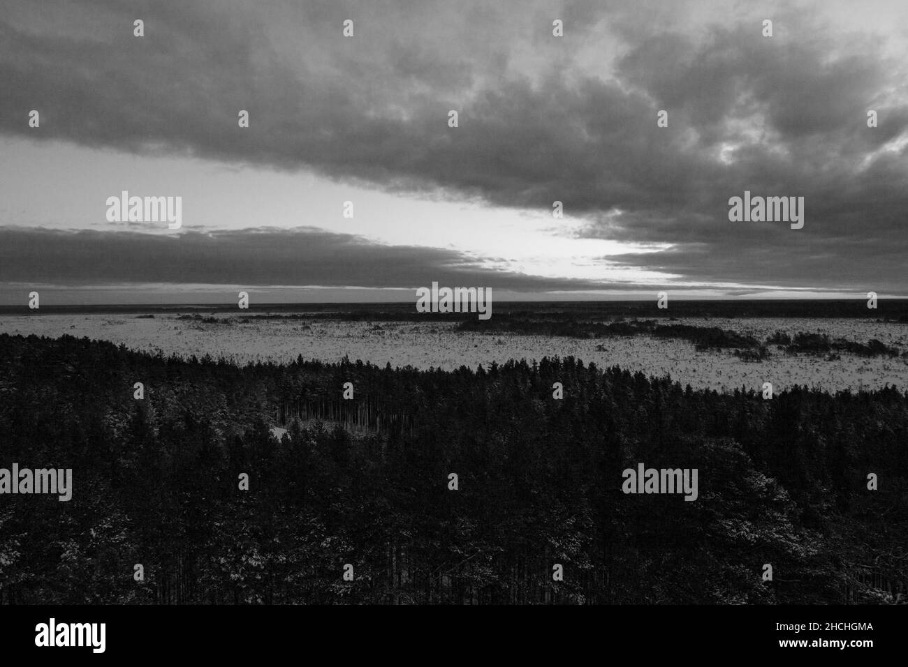 Foto in scala di grigi del paesaggio di Tolkuse Raba sotto un cielo nuvoloso in Estonia Foto Stock