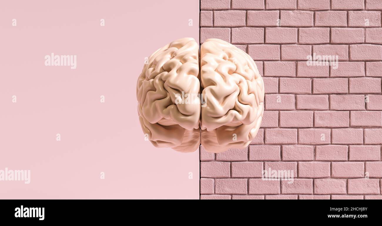 Cervello umano contro un muro di mattoni, immagine di concetto per il femminismo e diritti della donna Foto Stock