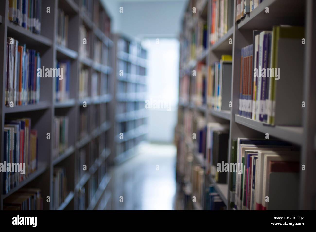 Bellissimo scatto di una biblioteca piena di vari libri Foto Stock