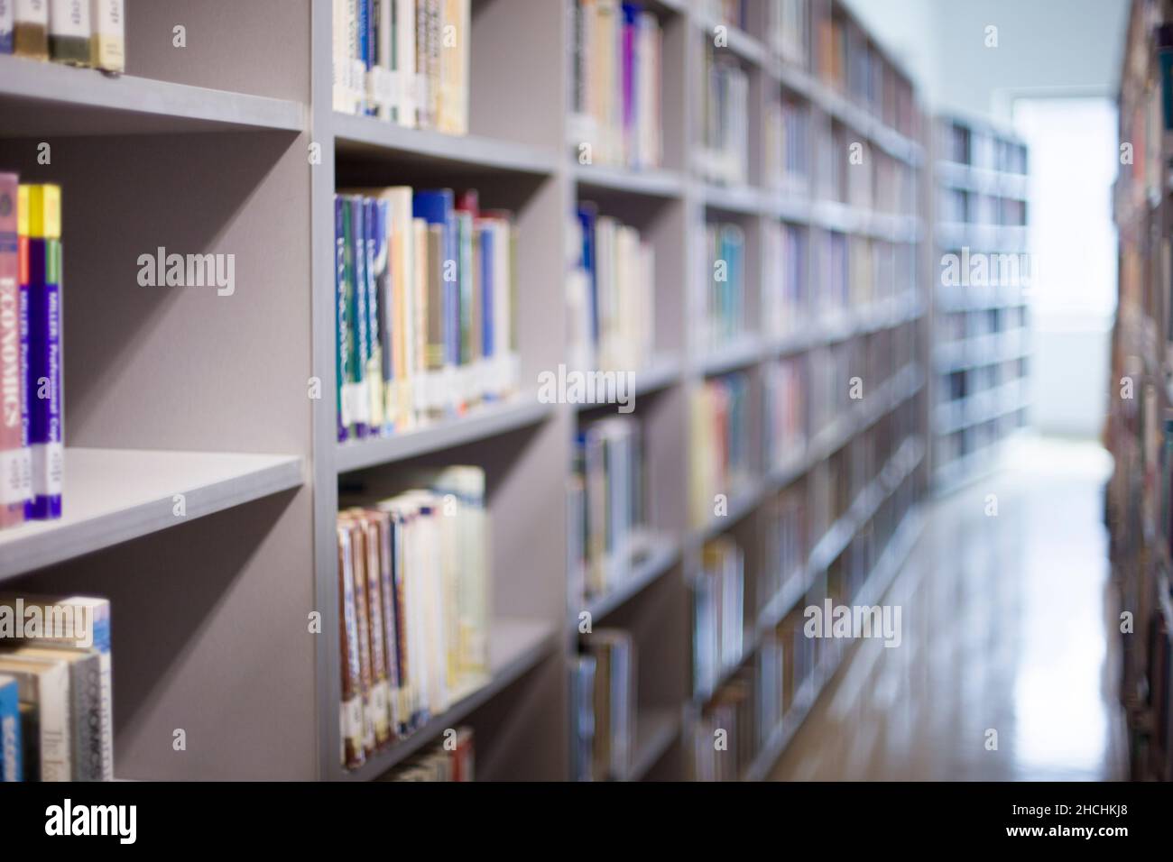 Bellissimo scatto di una biblioteca piena di vari libri Foto Stock