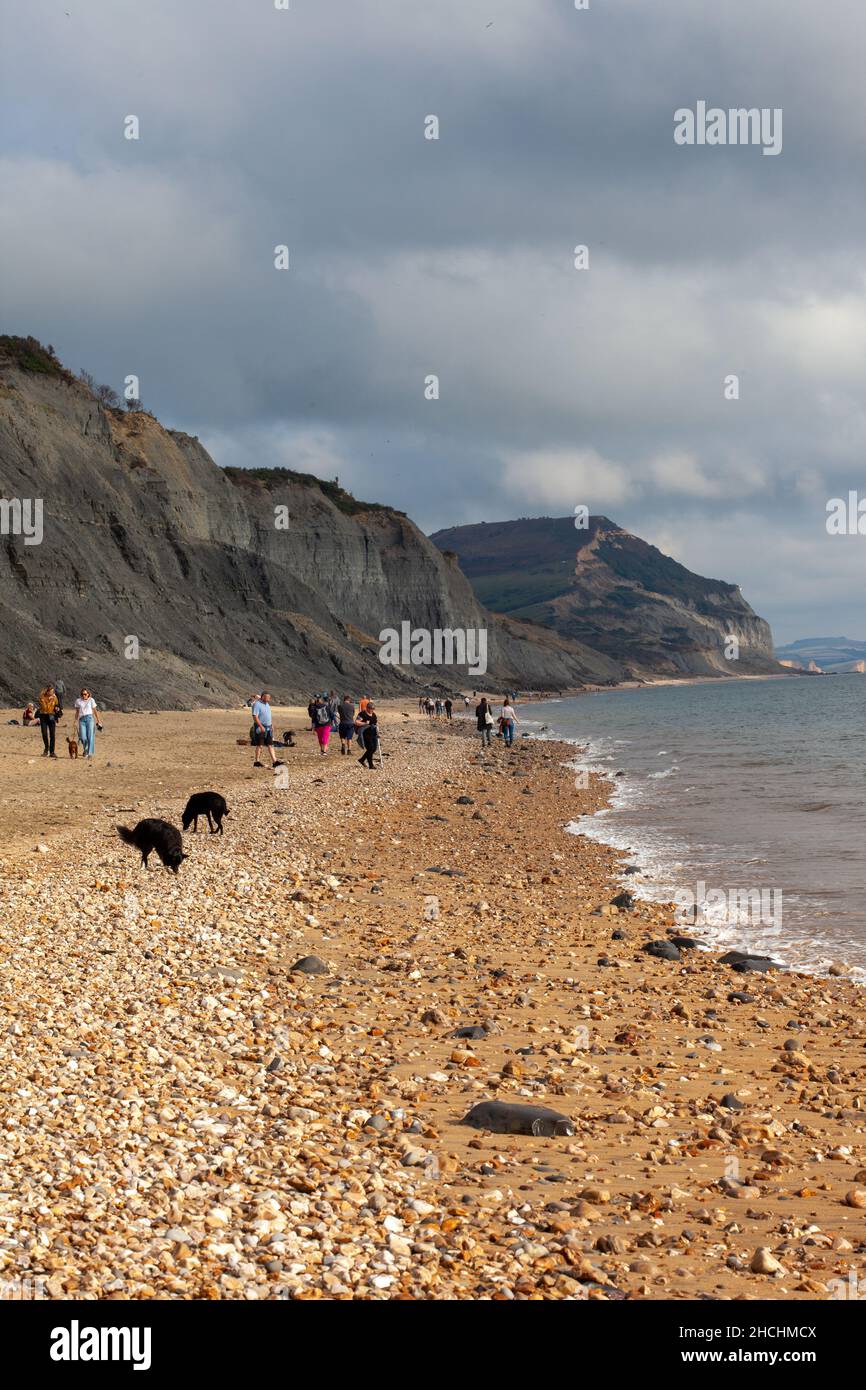 Passeggiate sulla spiaggia di Charmouth al sole d'autunno. Ottobre 2021. Dorset. Inghilterra Foto Stock Passeggiate sulla spiaggia di Charmouth al sole d'autunno. Ottobre 2021. Dorset. Inghilterra Foto Stock
