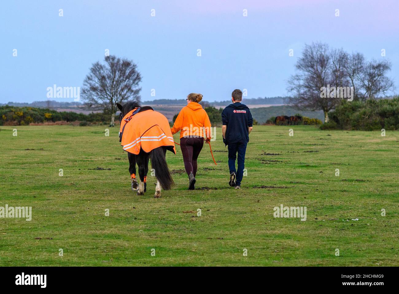 Godshill, Fordingbridge, New Forest, Hampshire, Regno Unito, 29th dicembre 2021, tempo: Fine eccezionalmente mite all'anno con temperature pomeridiane a metà adolescenza, diversi gradi sopra la norma per il periodo dell'anno. Una donna che cammina con un cavallo, entrambi indossando un caldo abbigliamento arancione luminoso. Credit: Paul Biggins/Alamy Live News Foto Stock