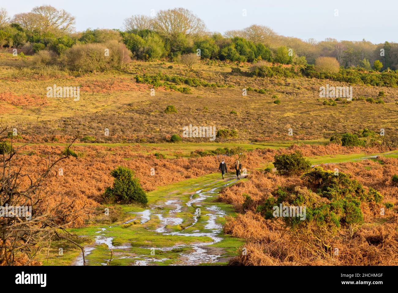 Godshill, Fordingbridge, New Forest, Hampshire, Regno Unito, 29th dicembre 2021, tempo: Fine eccezionalmente mite all'anno con temperature pomeridiane a metà adolescenza, diversi gradi sopra la norma per il periodo dell'anno. Le persone fuori camminare indossano stivali Wellington nel paesaggio sodden. Credit: Paul Biggins/Alamy Live News Foto Stock