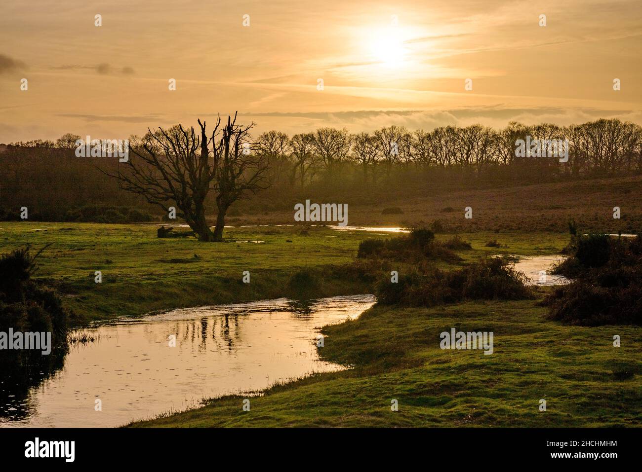 Godshill, Fordingbridge, New Forest, Hampshire, Regno Unito, 29th dicembre 2021, tempo: Fine eccezionalmente mite all'anno con temperature pomeridiane a metà adolescenza, diversi gradi sopra la norma per il periodo dell'anno. Un ruscello, gonfiato dalle recenti forti piogge, si snoda attraverso il paesaggio. Credit: Paul Biggins/Alamy Live News Foto Stock