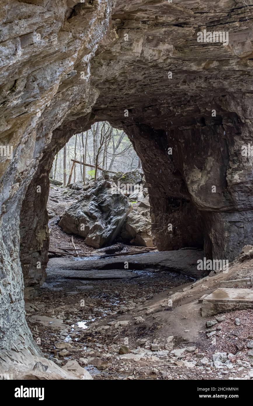 Smoky Arch nel carter Caves state Resort Park, Kentucky Foto Stock