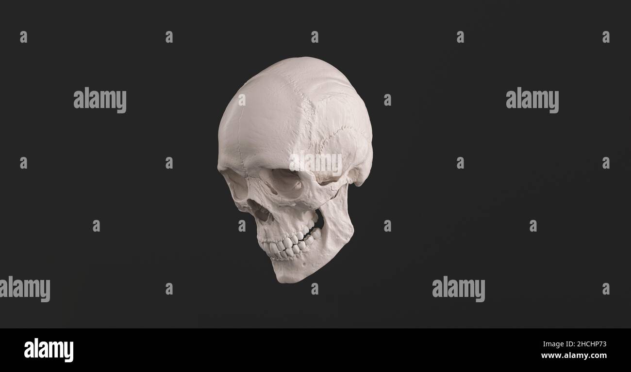 Cranio umano e Jaw osso vista laterale Pirate Poison Horror simbolo Halloween Medical. Immagine del concetto di anatomia e medicina. Foto Stock