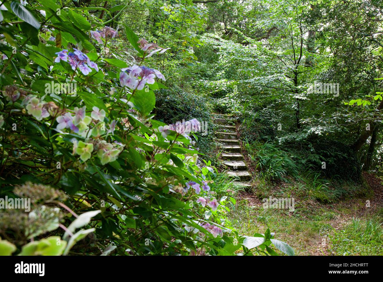 Giardino segreto in Pedn Billy Estate a Port Navas Creek, Helford, Cornovaglia Foto Stock