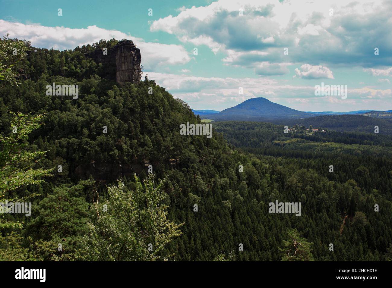 Le bianche scogliere nel nord della Repubblica Ceca sono coperte da foreste di conifere Foto Stock