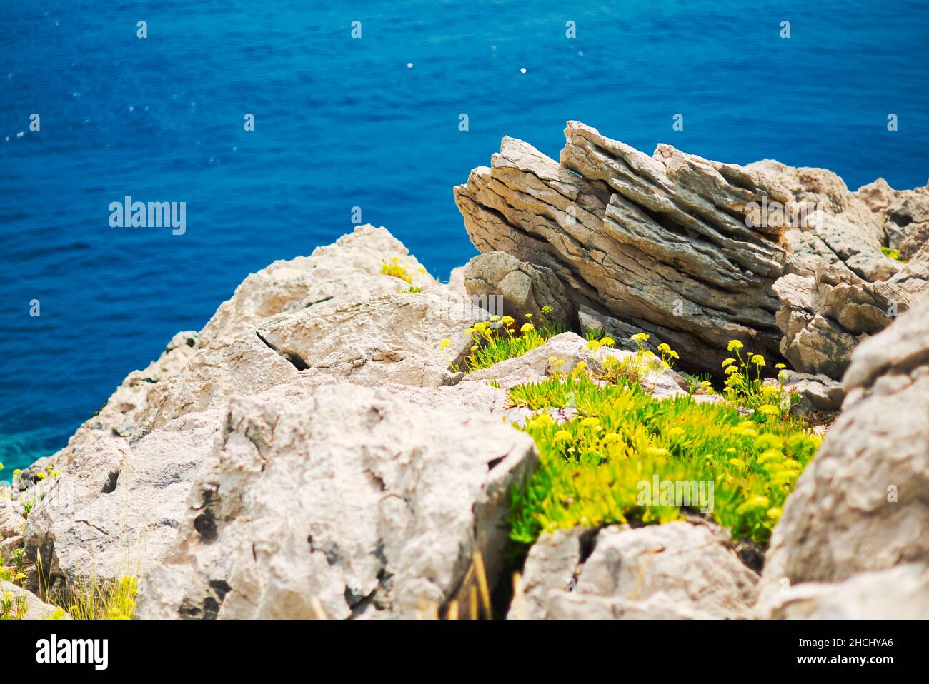 Blocco di pietra con ripidi pendii e creste affilate e alcuni fiori su di esso in un lato della costa Foto Stock