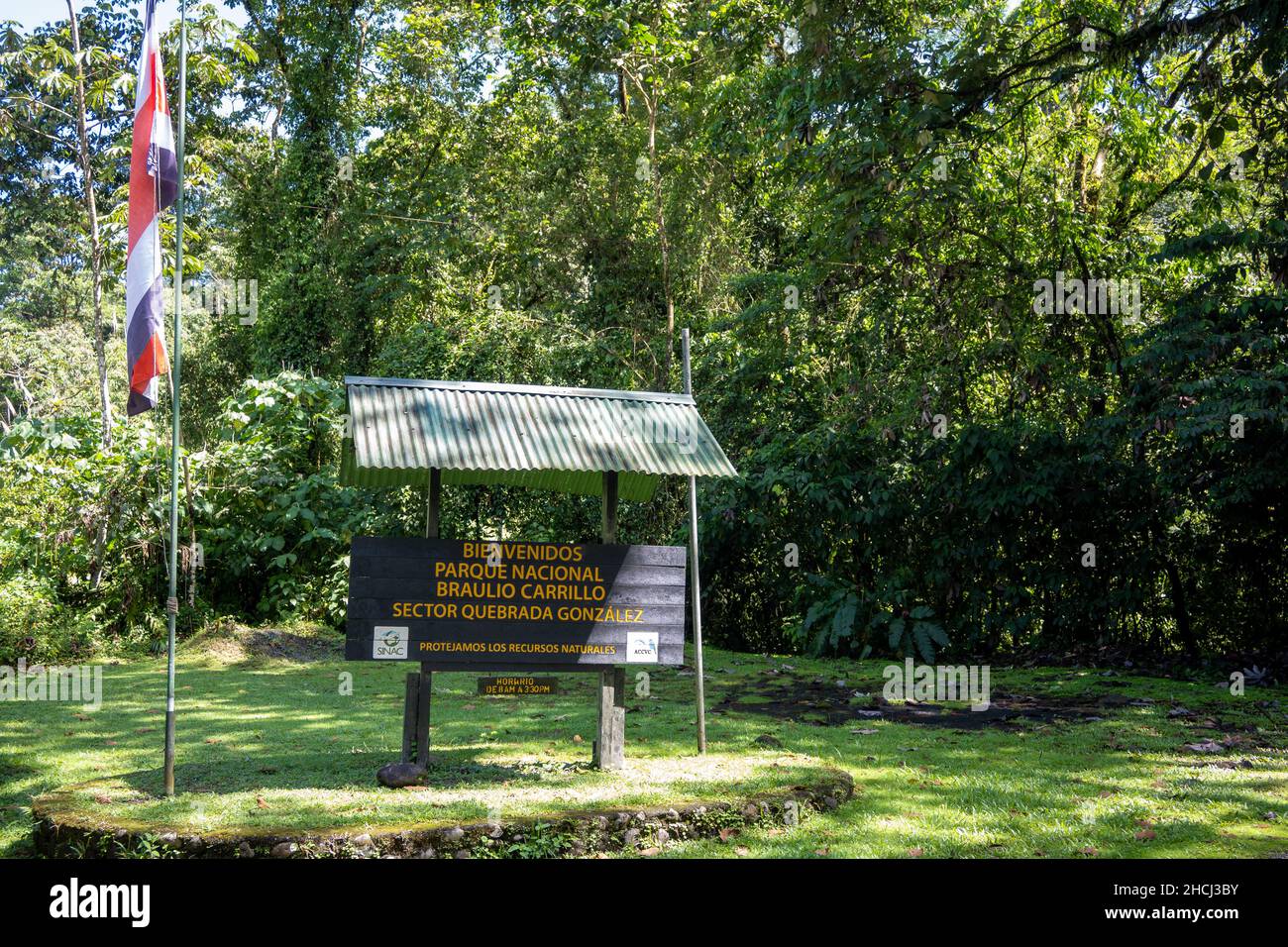 Bandiera del Costa Rica di fronte al Parco Nazionale di Braulio Carrillo. Costa Rica, America Centrale. Foto Stock