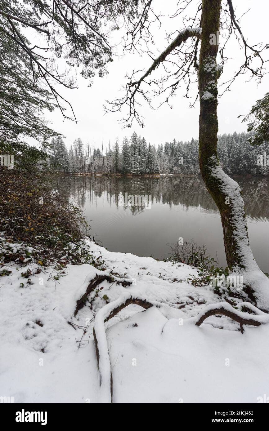 Paesaggio invernale delle meraviglie innevato con alberi ghiacciati che si riflettono sul lago nello stato di Washington, nel Pacifico nord-occidentale Foto Stock