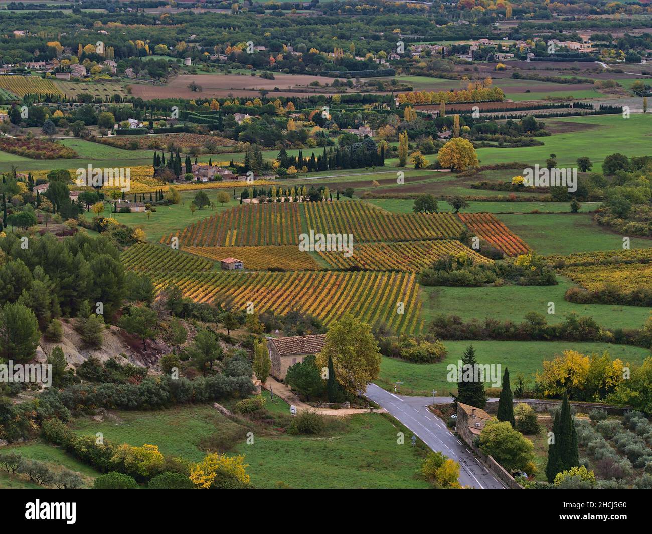 Alto angolo di vista della valle rurale del Luberon vicino al villaggio Gordes nella regione della Provenza, Francia con un bellissimo vigneto di foglie colorate circondato da alberi. Foto Stock