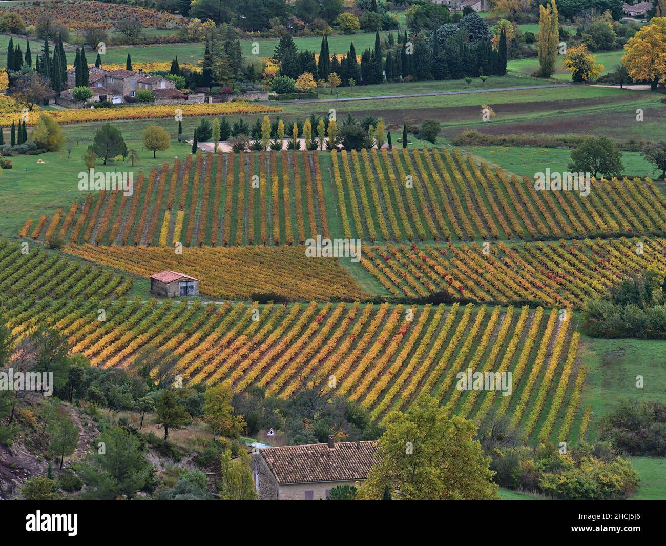 Vista aerea di vigneti colorati con foglie di colore giallo e rosso nella stagione autunnale con storiche case in pietra nella valle del Luberon vicino al villaggio Gordes. Foto Stock