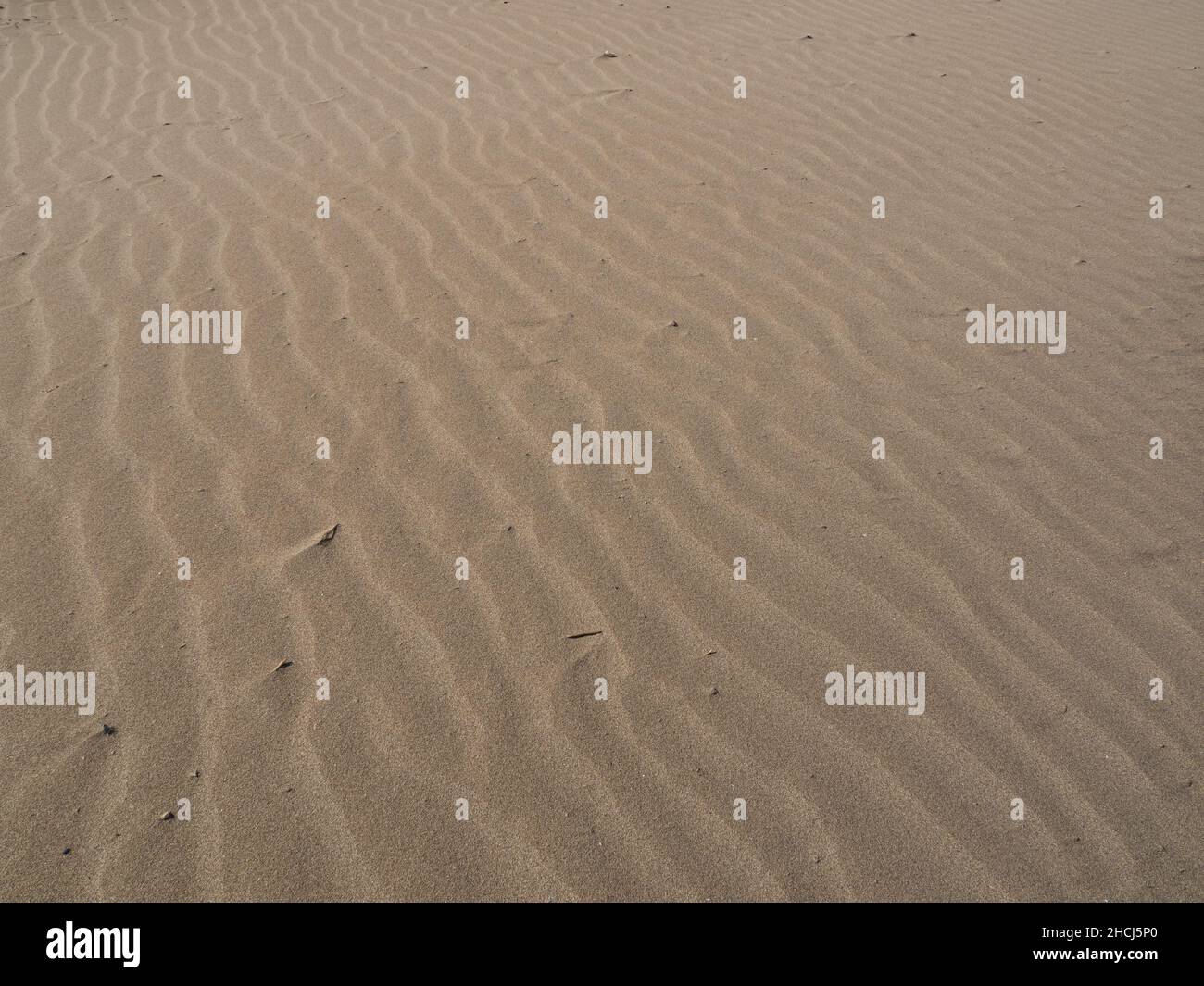 Texture di sabbia dorata dal parco naturale Ebro, Spagna. Spiaggia sfondo di sabbia. Foto Stock