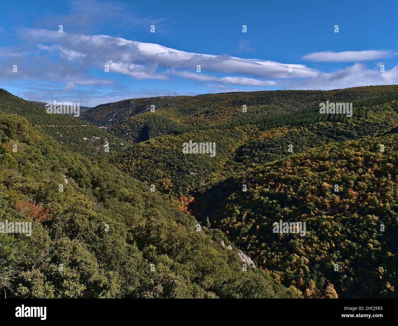 Vista panoramica della parte occidentale del bellissimo canyon Gorges de la Nesque nelle montagne Vaucluse nella regione della Provenza, Francia in giornata di sole in autunno. Foto Stock