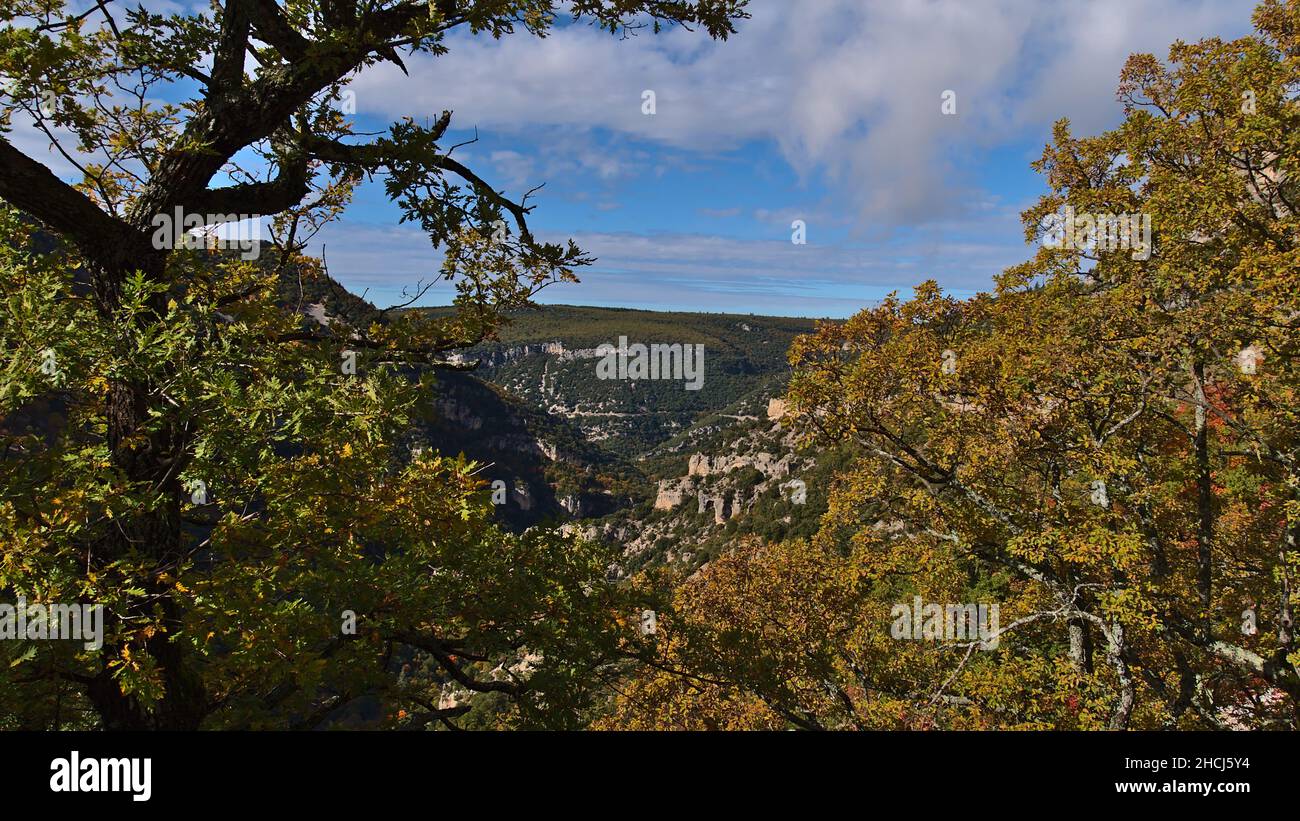 Bella vista del canyon roccioso Gorges de la Nesque nelle montagne Vaucluse nella regione della Provenza, Francia in giornata di sole in autunno con rocce calcaree. Foto Stock