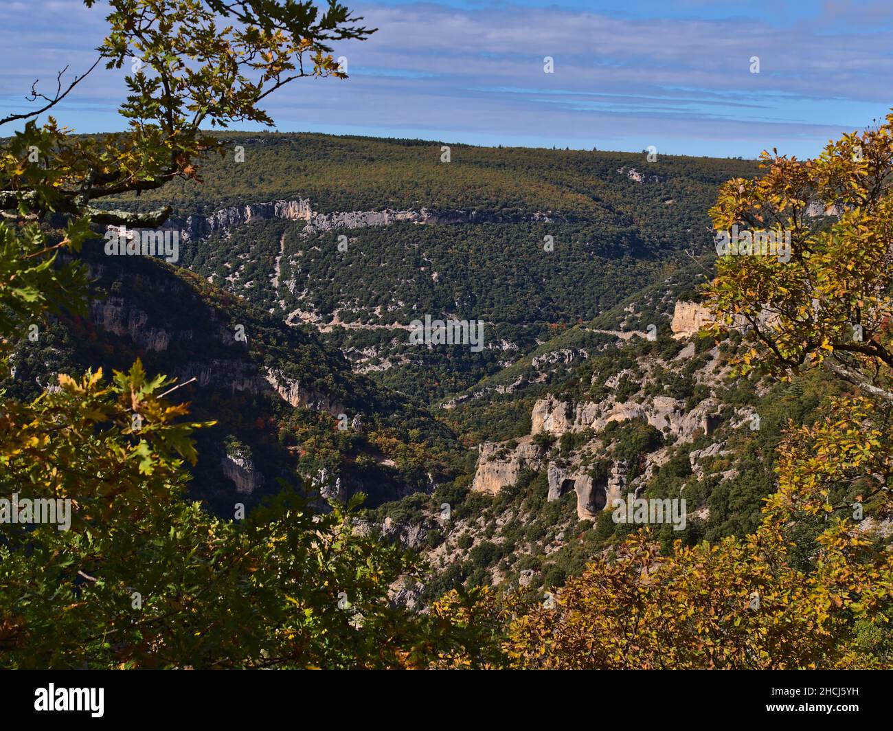 Vista del famoso canyon Gorges de la Nesque nelle montagne Vaucluse nella regione della Provenza, Francia in giornata di sole nella stagione autunnale con calcare aspro. Foto Stock