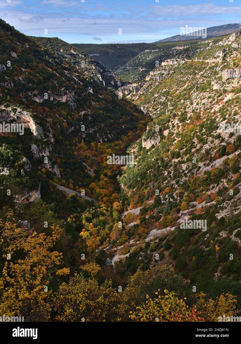 Vista mozzafiato della gola ripida Gorges de la Nesque con rocce calcaree nei monti sub-alpini Vaucluse nella regione della Provenza, in Francia in giornata di sole. Foto Stock