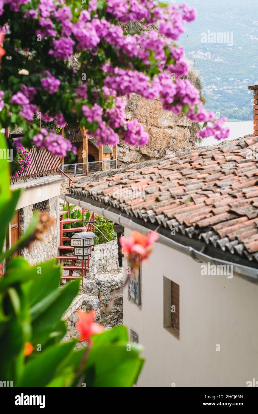 Strada acciottolata ombreggiata che si affaccia su un lago nella vecchia Ohrid, Macedonia. Architettura ad angolo classica con pareti bianche, piccole finestre marroni e flo sospeso Foto Stock